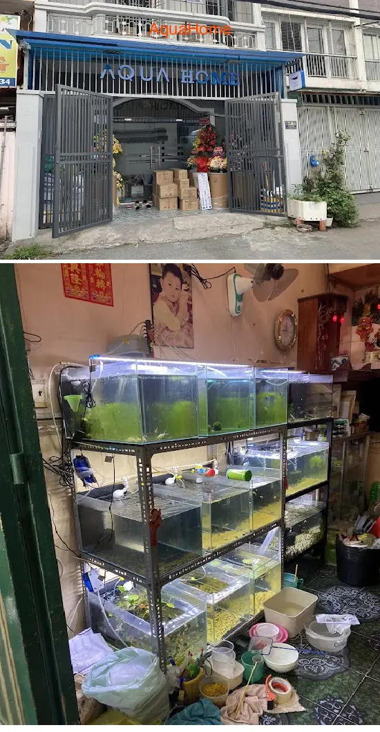 AquaHome