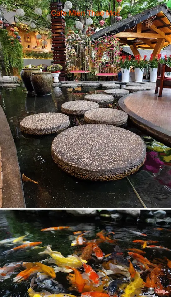 Cafe Mien Thao Moc